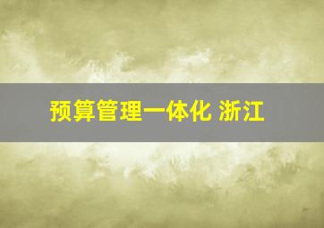 预算管理一体化 浙江